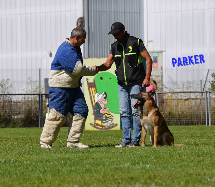 2025 ring Parker def.jpg